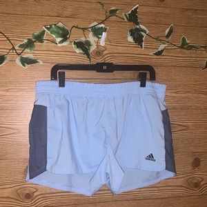 Adidas shorts xl